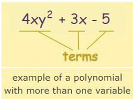 CLASS-6-Algebra-Terms-Of-Polynomial