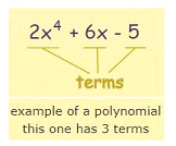 CLASS-6-Algebra-Terms-Of-Polynomial