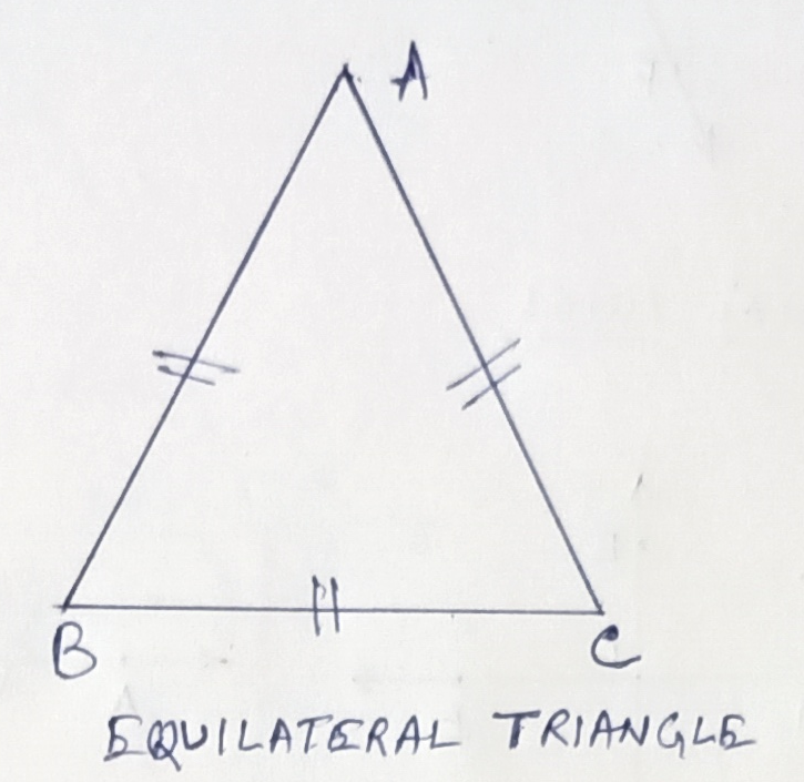 CLASS-8-Geometry-Classification-Of-Triangles-On-Basics-Of-Sides