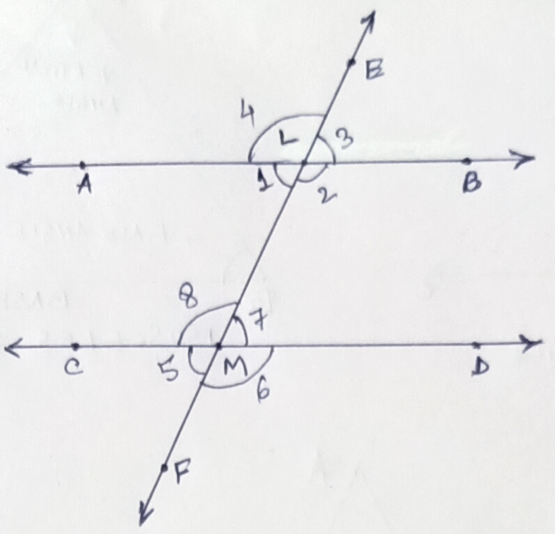 Class 8 Geometry Properties Of Parallel Lines